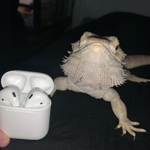 Meet your Posher, Catello